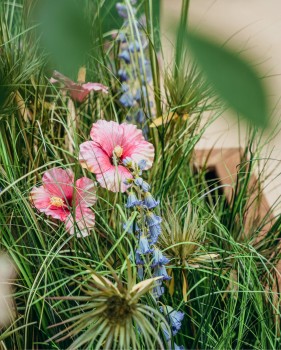 Wijnegem Shopping | Lentetuin