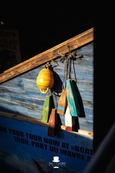 Walibi Belgium | Dock World