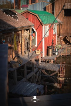 Walibi Belgium | Dock World