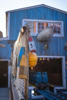 Walibi Belgium | Dock World