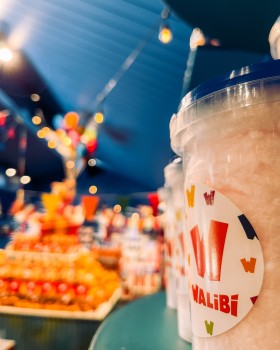 Walibi Rh&ocirc;ne-Alpes | Shop Theming