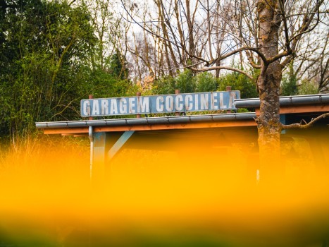 Bellewaerde | Mundo Amazonia