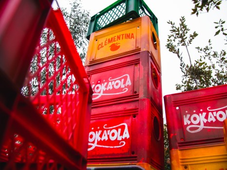 Bellewaerde | Mundo Amazonia