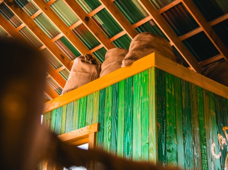 Bellewaerde | Mundo Amazonia