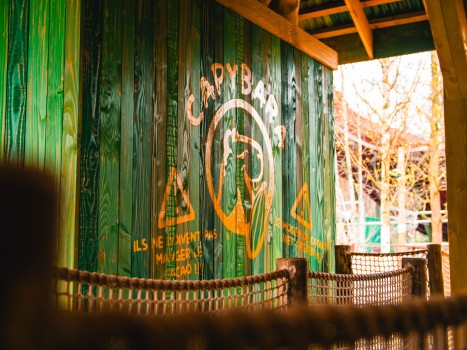 Bellewaerde | Mundo Amazonia